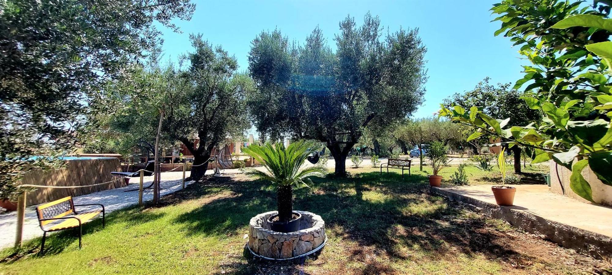 Parco Esmeralda - Family Residence E Breakfast Marina di Camerota Luaran gambar